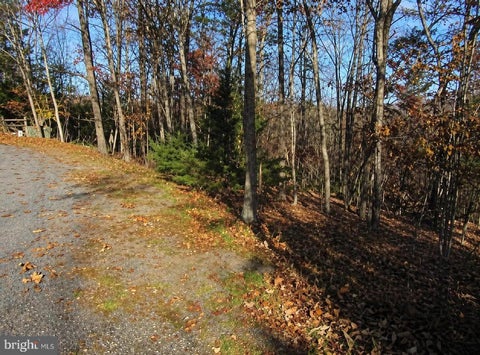 Vacant Land For Sale - Brian Drive<br/> BASYE, VA 22810