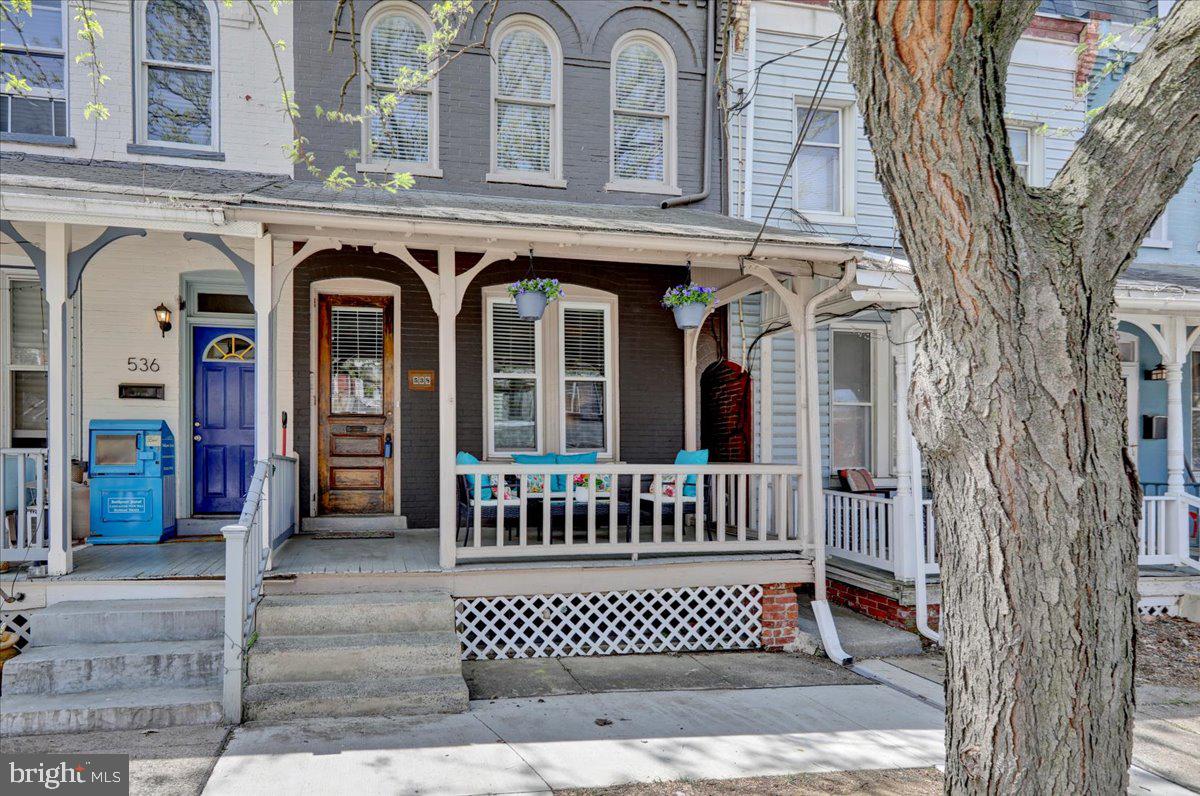 CHESTNUT HILL - Residential