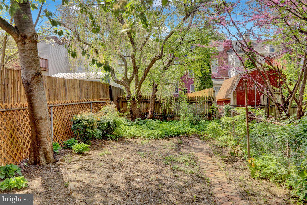 CHESTNUT HILL - Residential