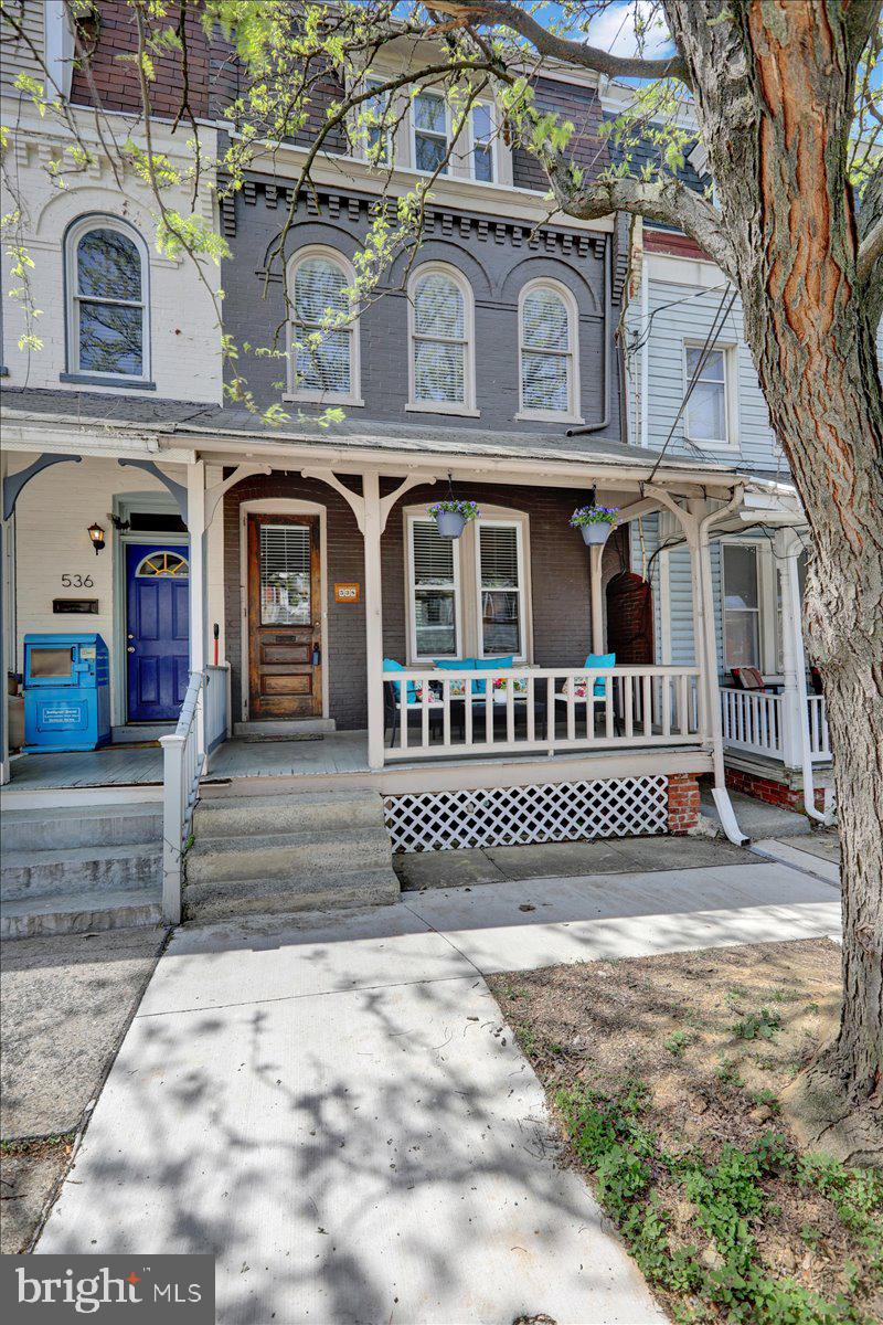 CHESTNUT HILL - Residential