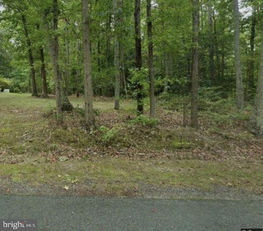 INCREDIBLE 3.96 ACRE LOT! Do you want to build your dream home? This is the lot for you providing a canvas for your imagination. NO HOA! This lot in conveniently located and has had previous soil work completed. Don't miss the opportunity to turn your dreams into a reality!