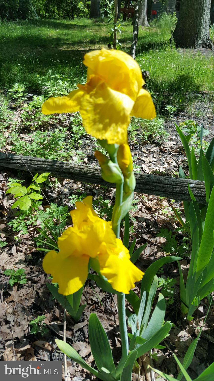 CHESAPEAKE RANCH ESTATES - Residential