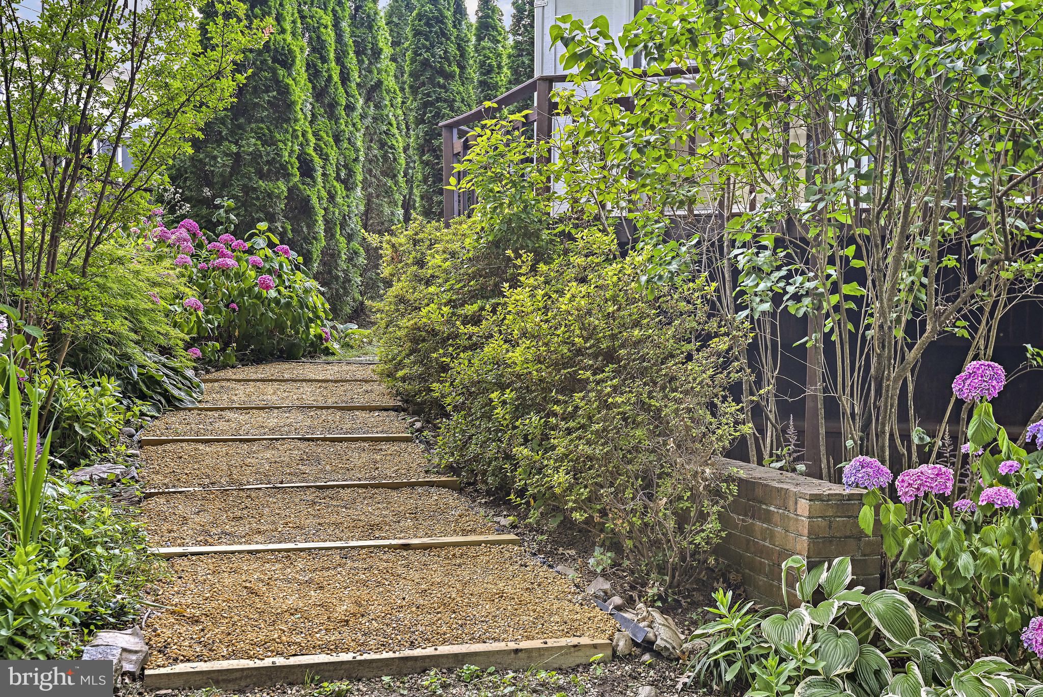 HAMEL HILL - Residential