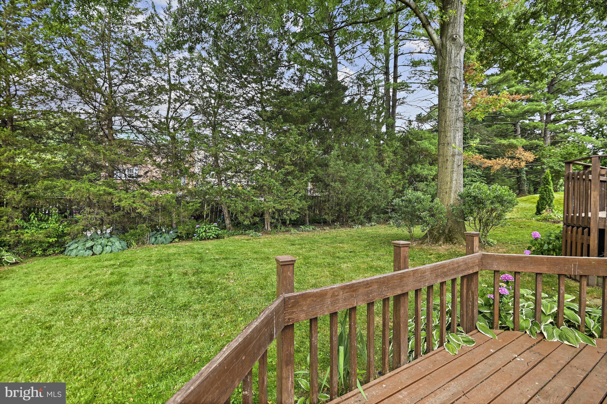 HAMEL HILL - Residential