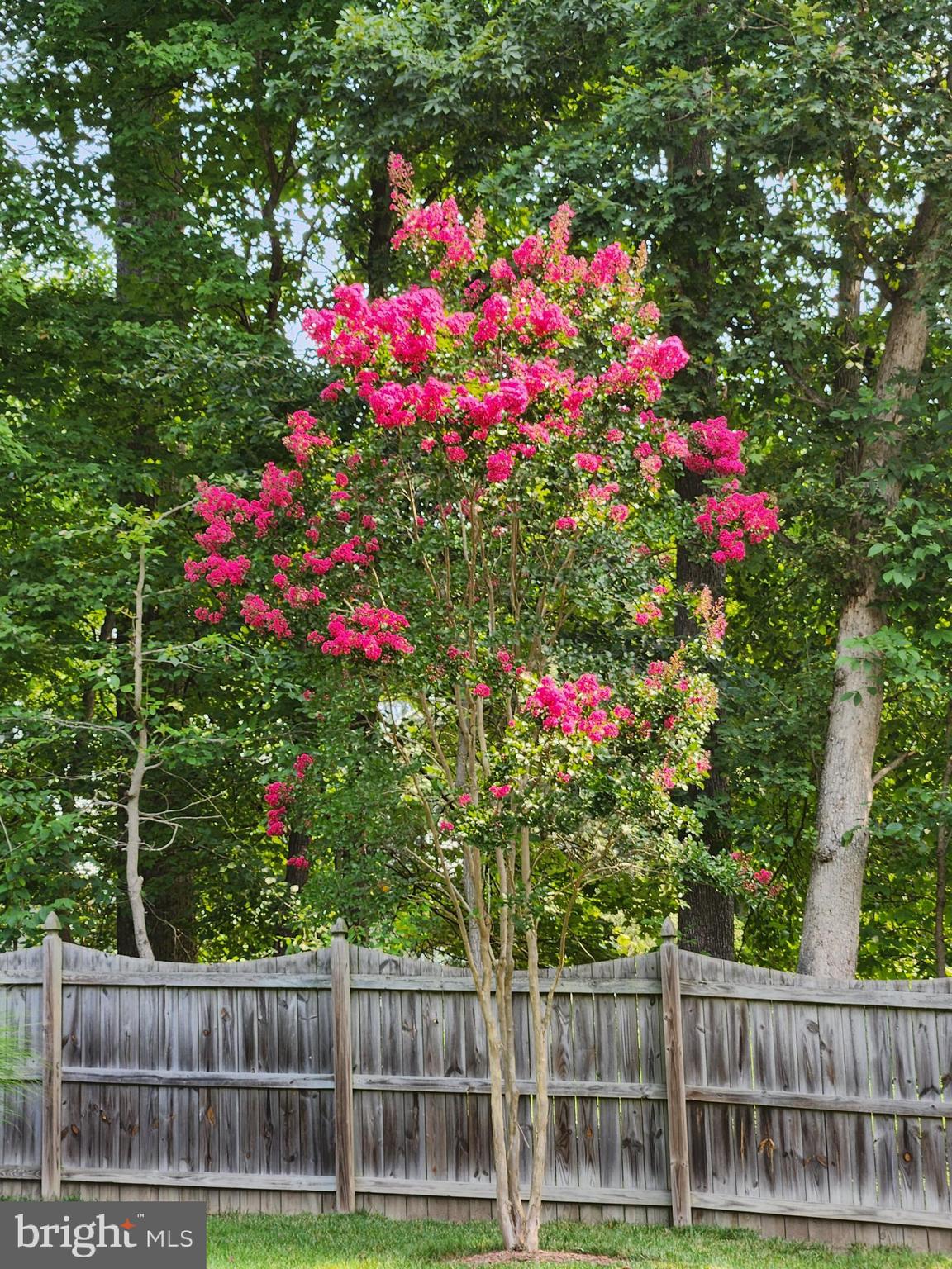 RIVERS EDGE - Residential