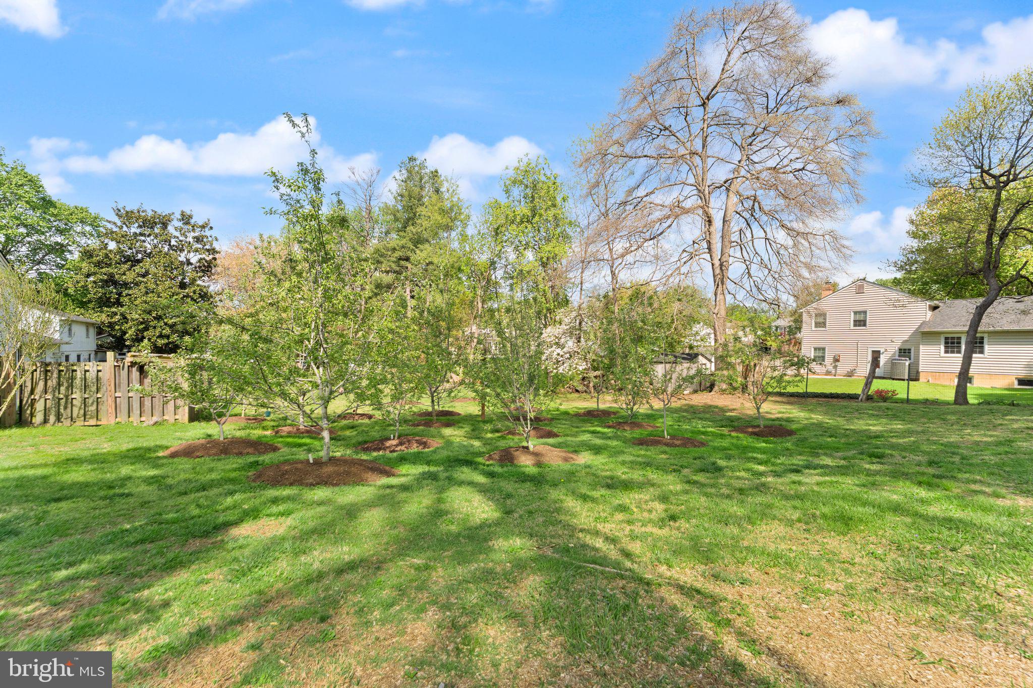 RIDGE MANOR - Residential