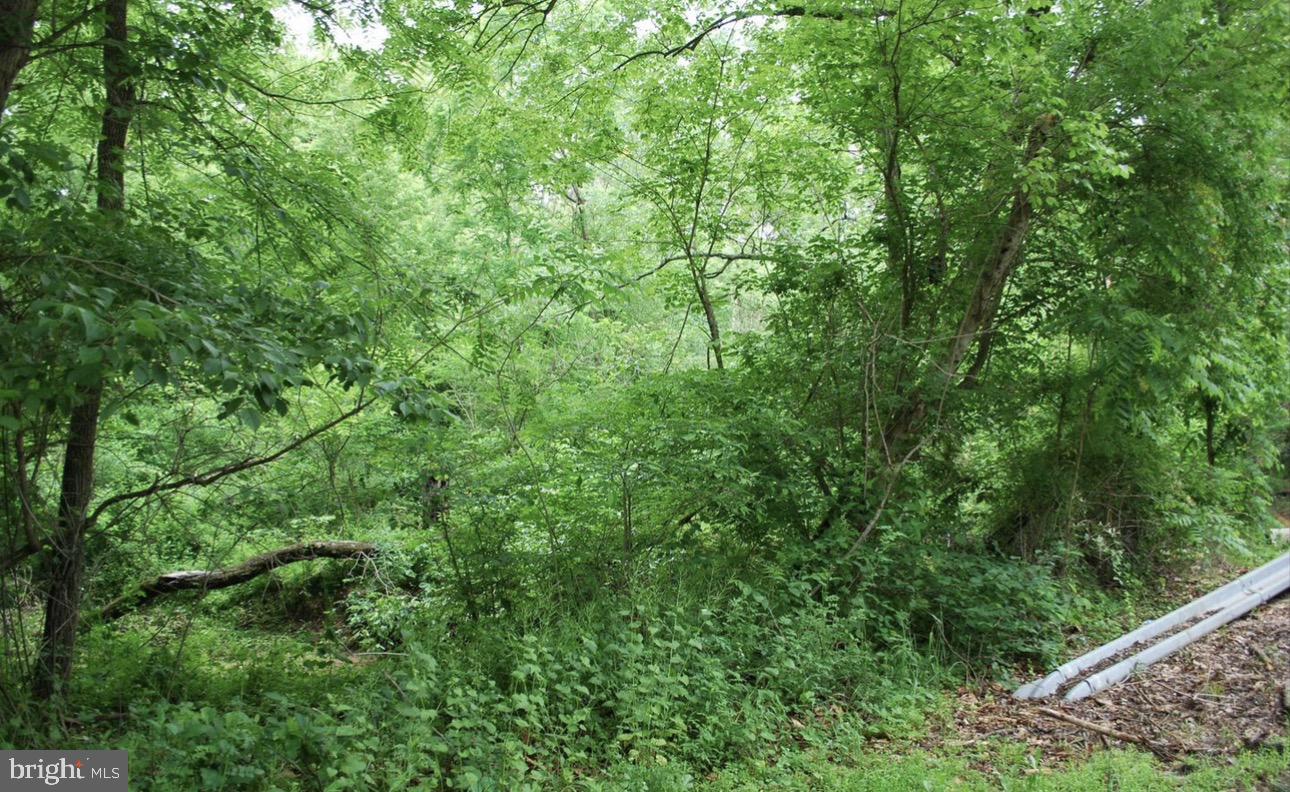 CARRS MILL ROAD
