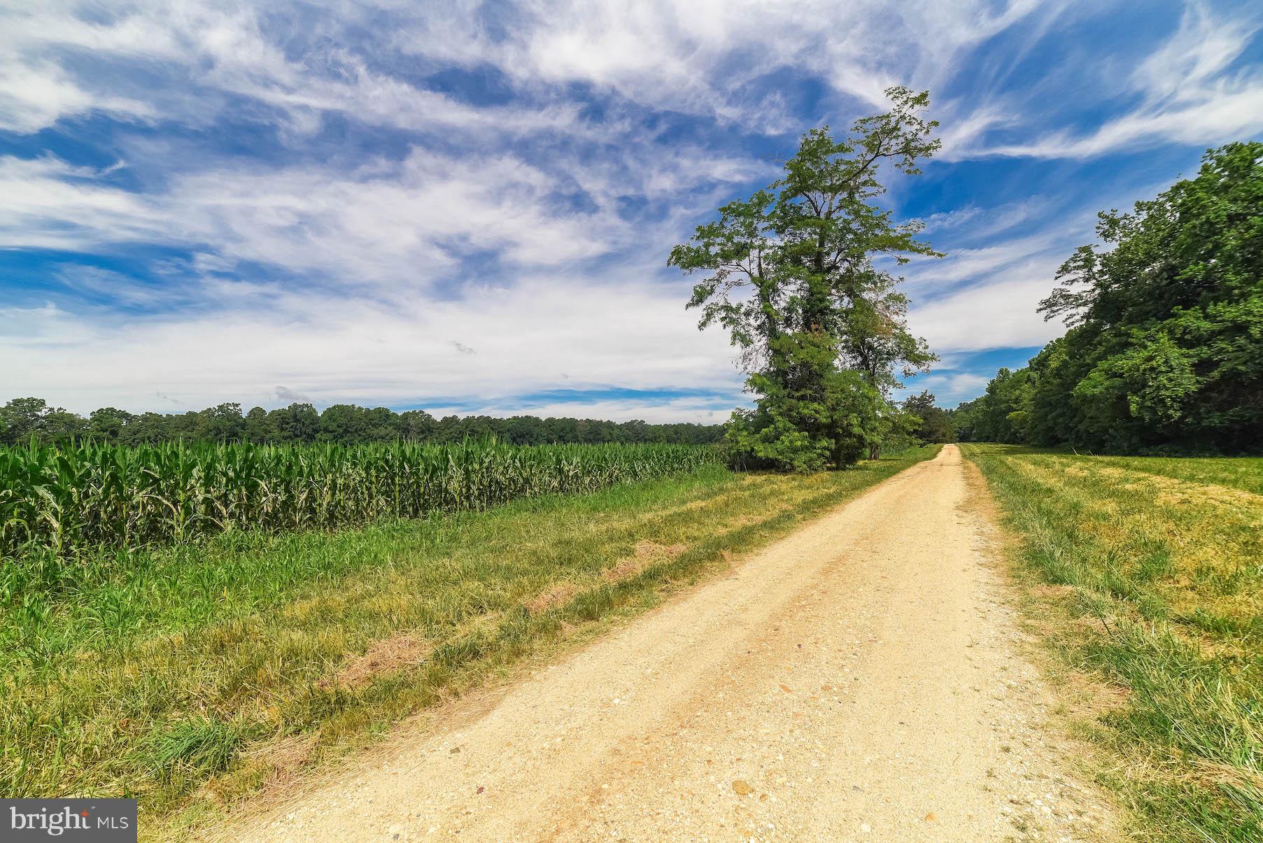 NONE AVAILABLE - Farm