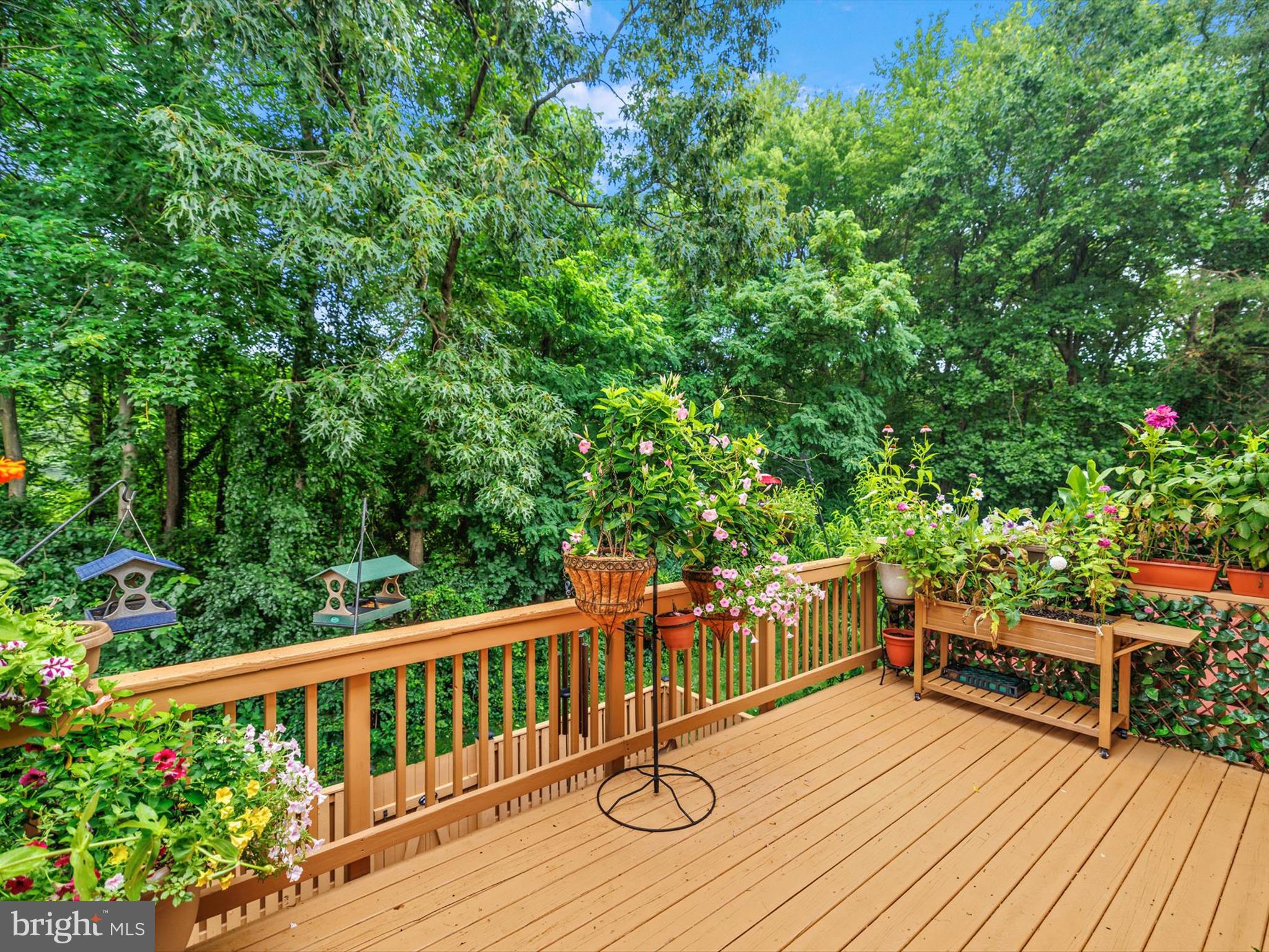 VILLA TOSCANA - Residential