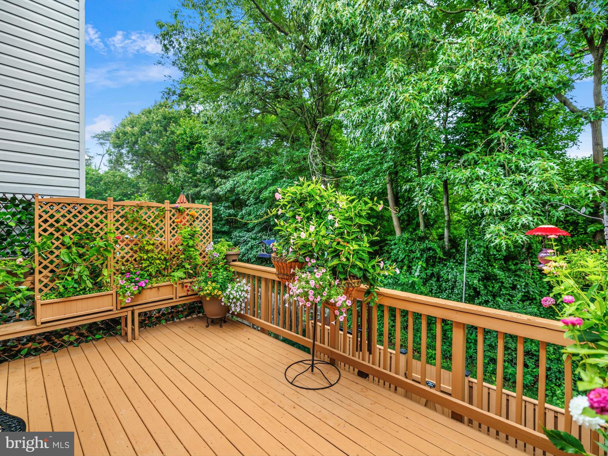 VILLA TOSCANA - Residential