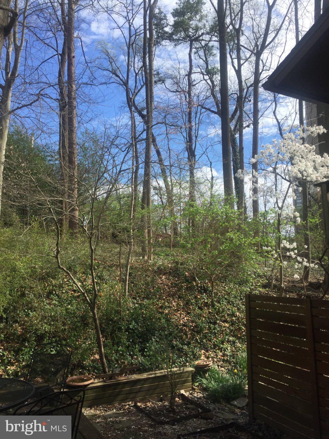 9211 THREE OAKS DRIVE