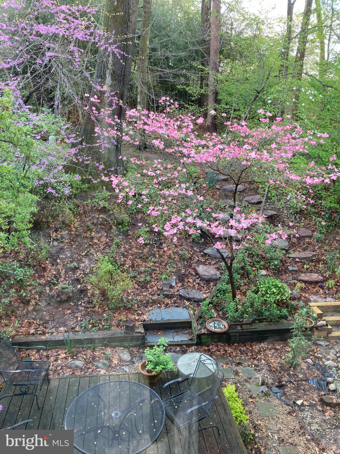 9211 THREE OAKS DRIVE