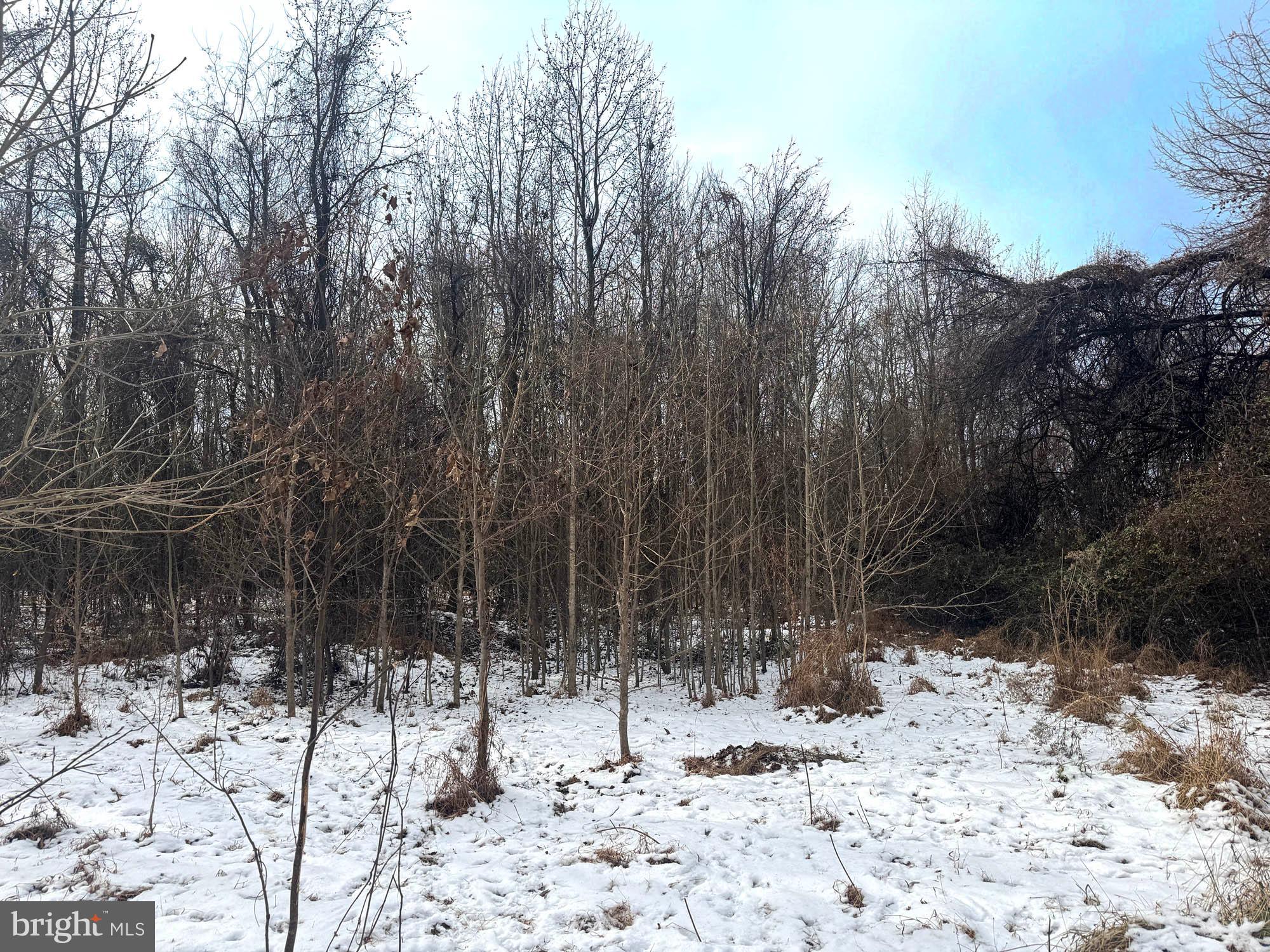 FORT WASHINGTON - Land