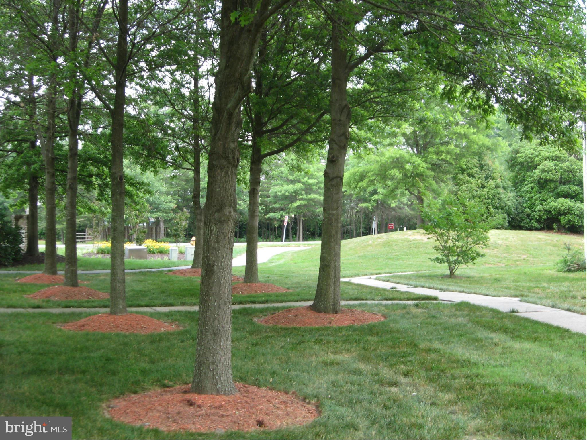 ST CHARLES SUB - HAMPSHIRE - Residential