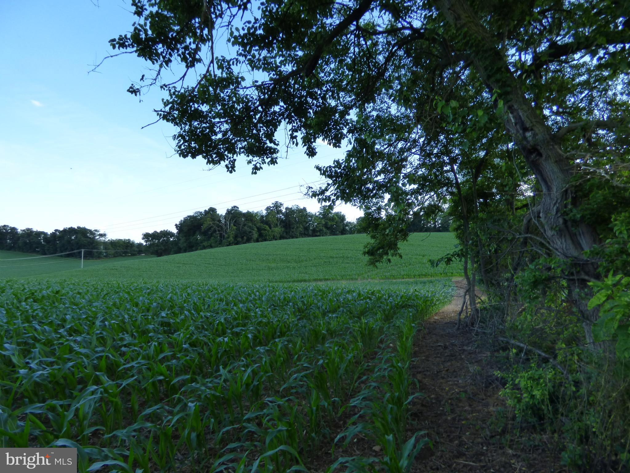 NONE AVAILABLE - Farm