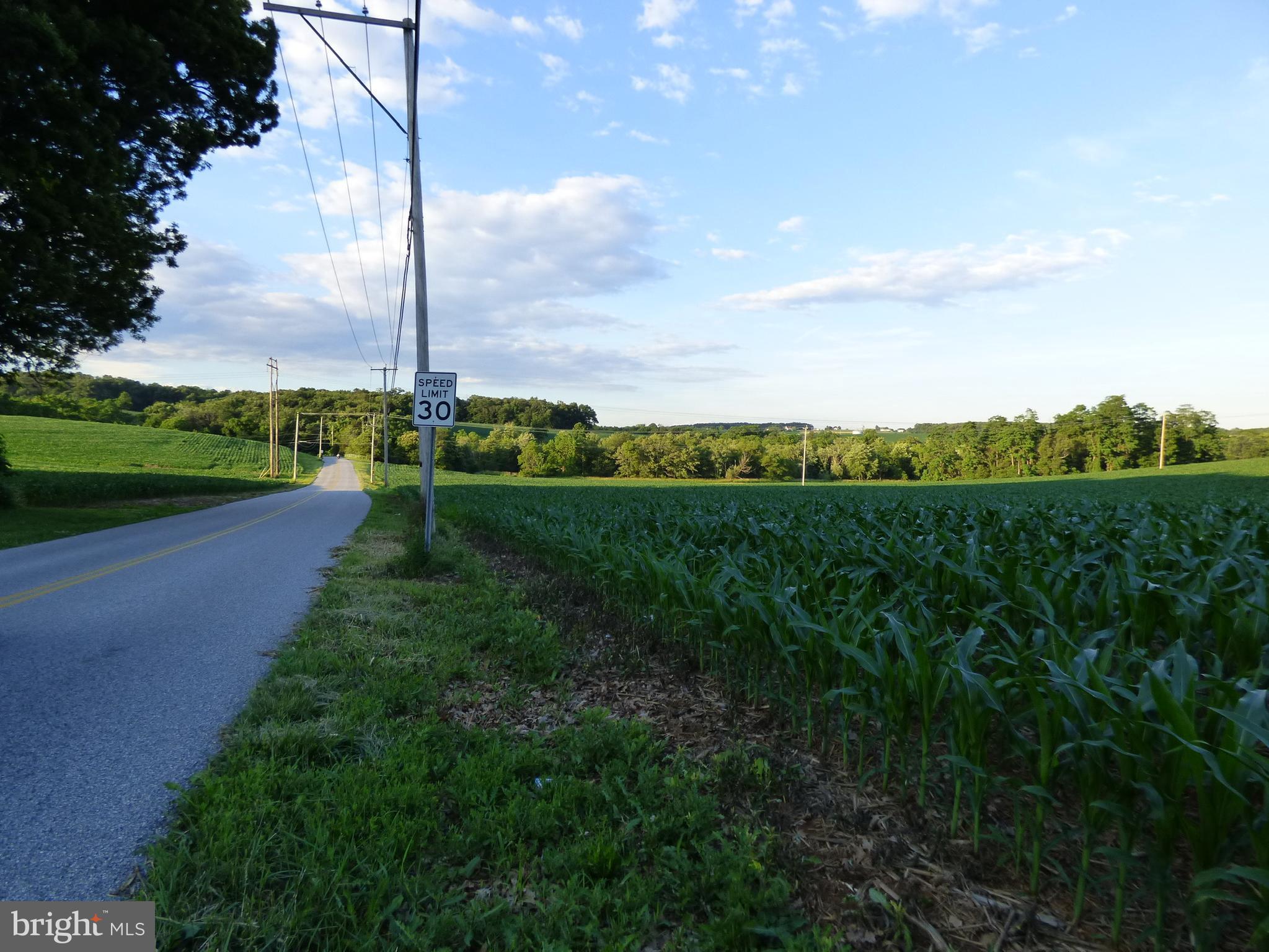 NONE AVAILABLE - Farm