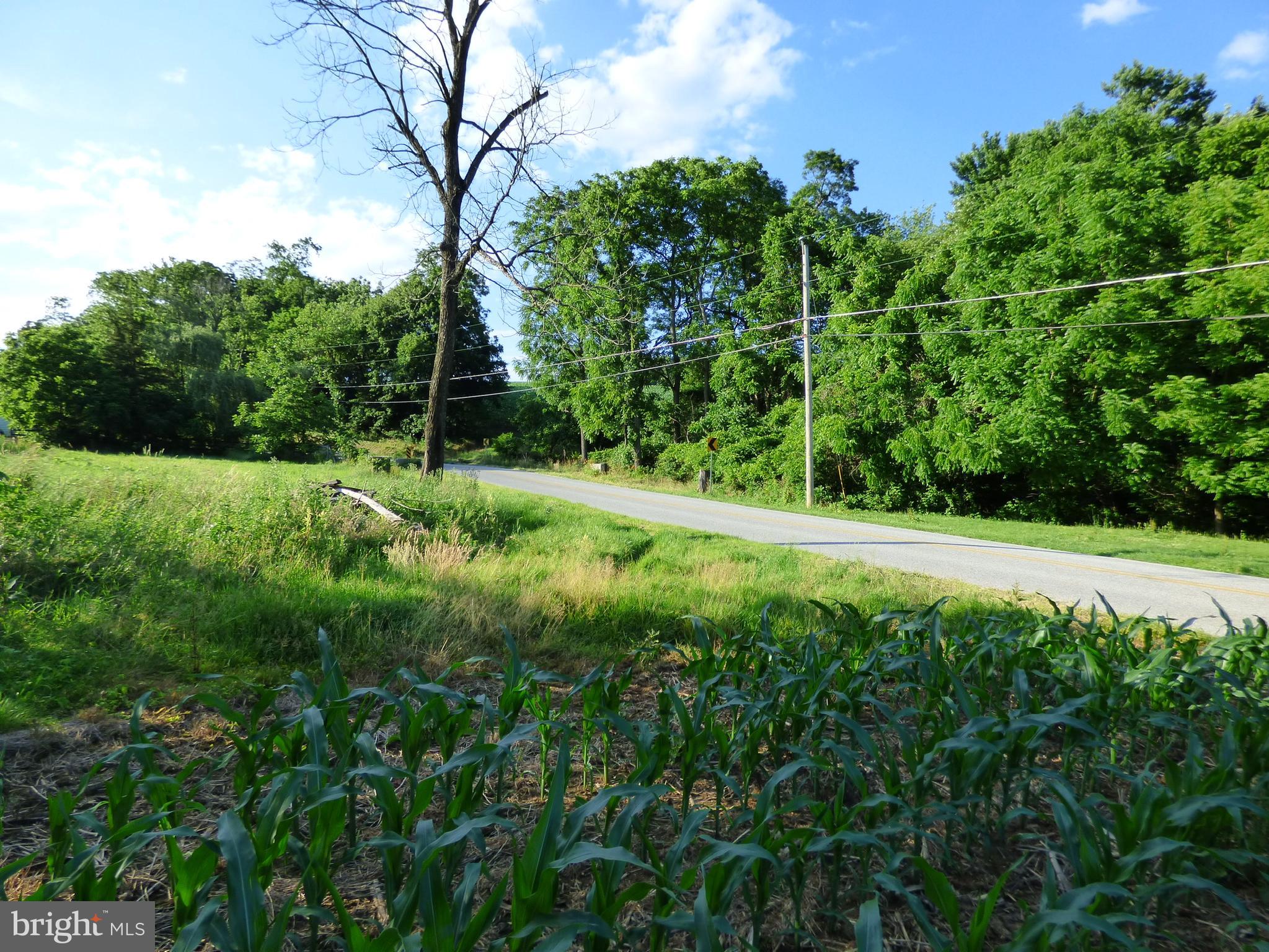 NONE AVAILABLE - Farm