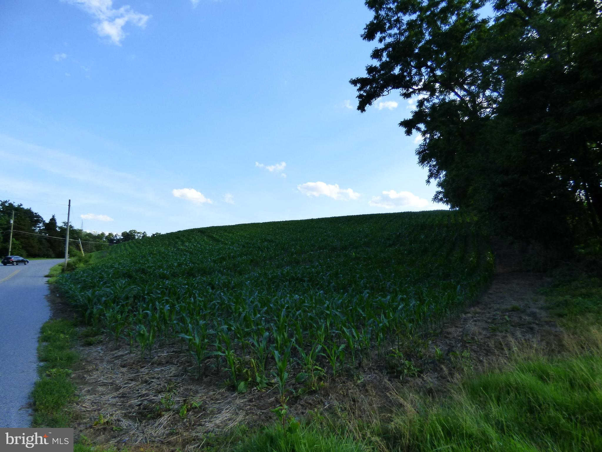 NONE AVAILABLE - Farm