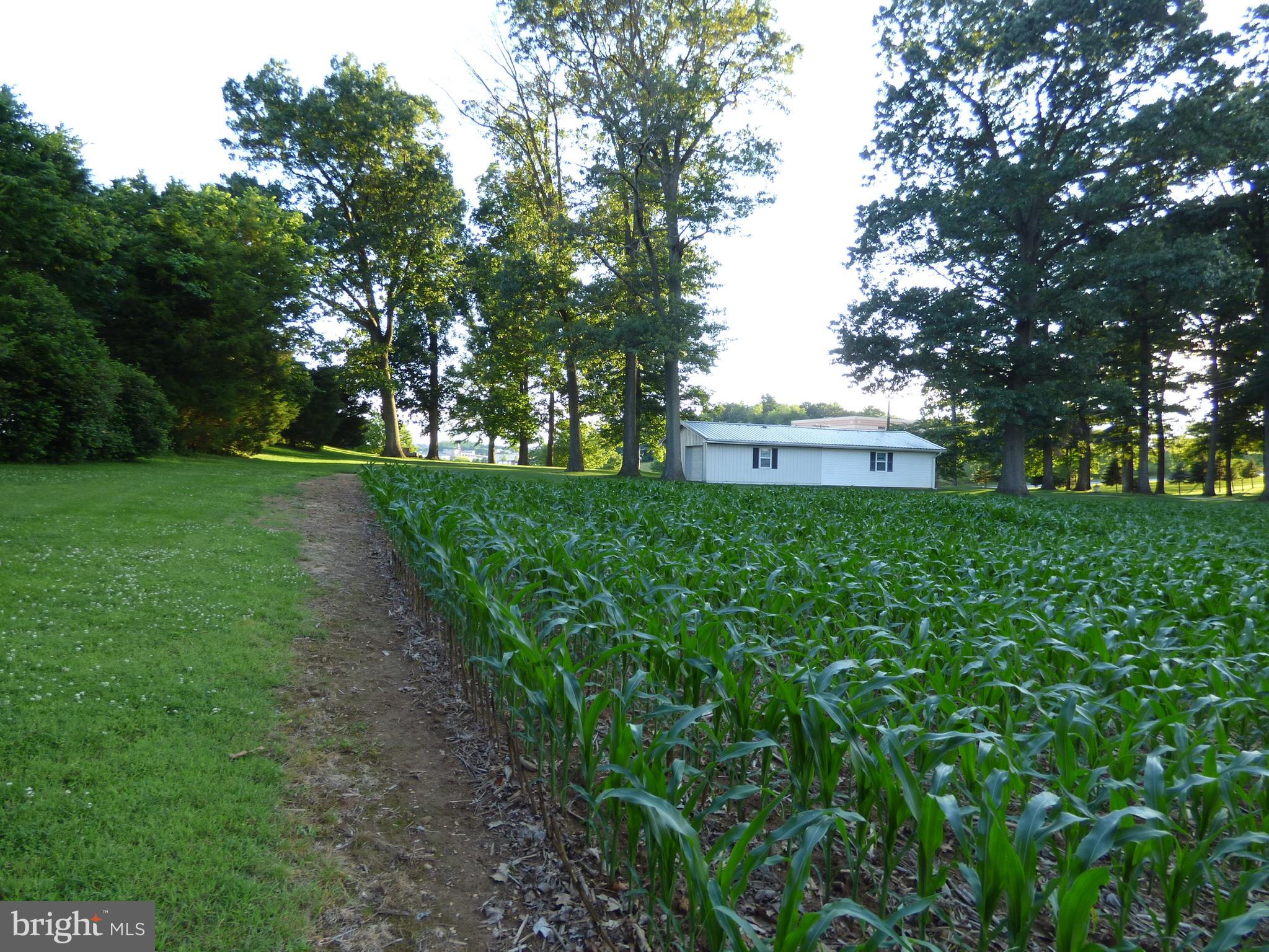 NONE AVAILABLE - Farm