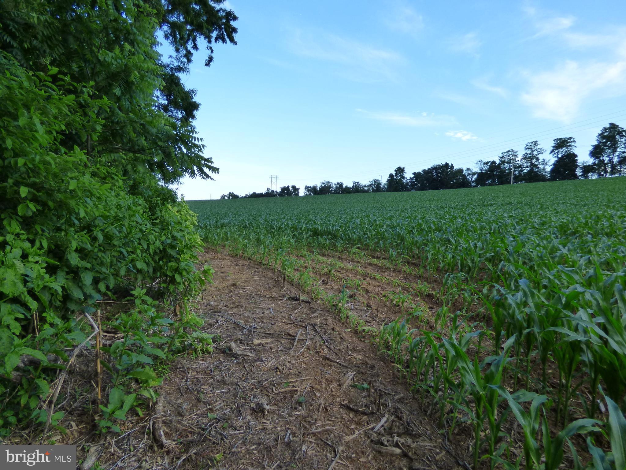 NONE AVAILABLE - Farm