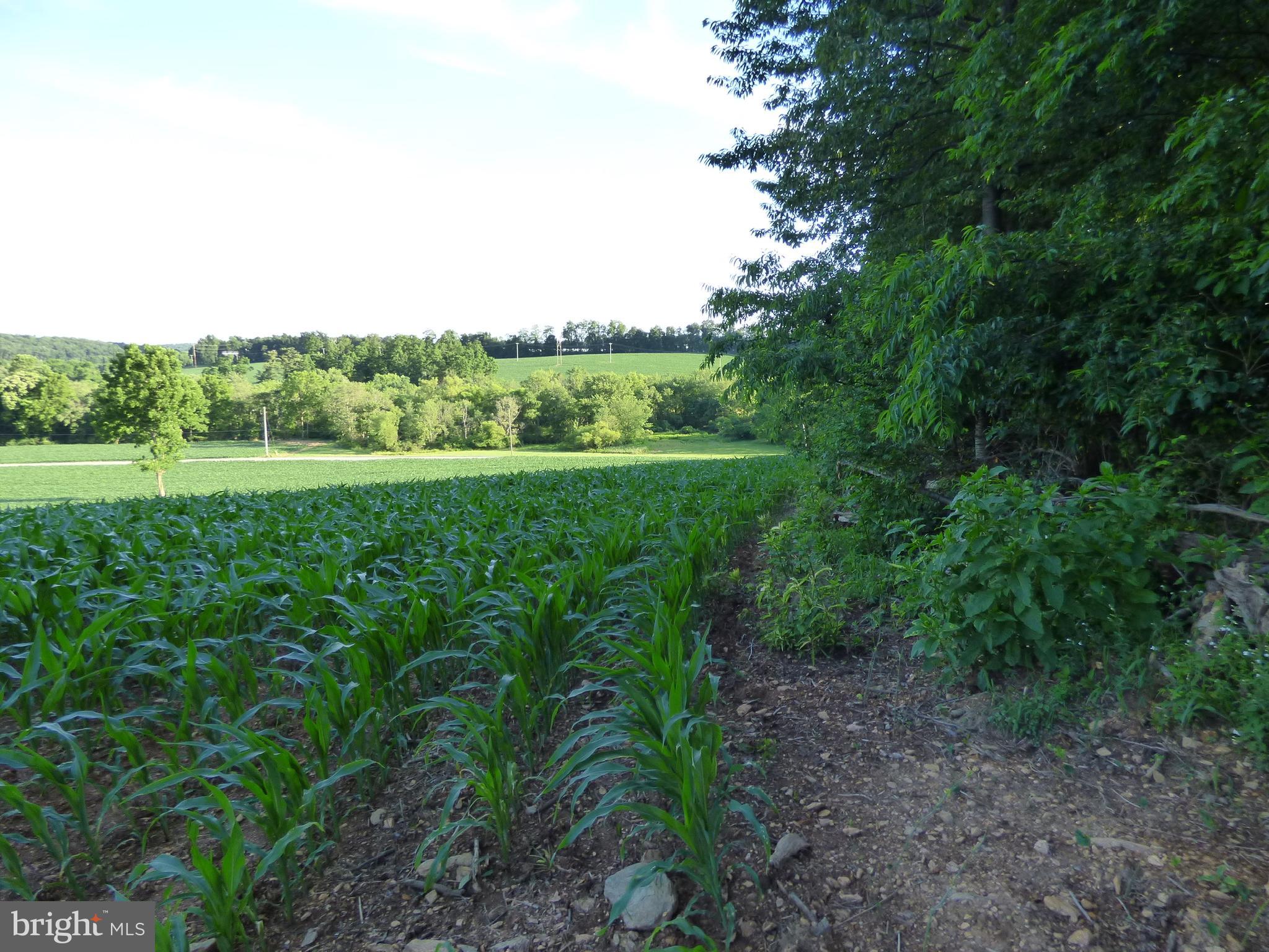 NONE AVAILABLE - Farm