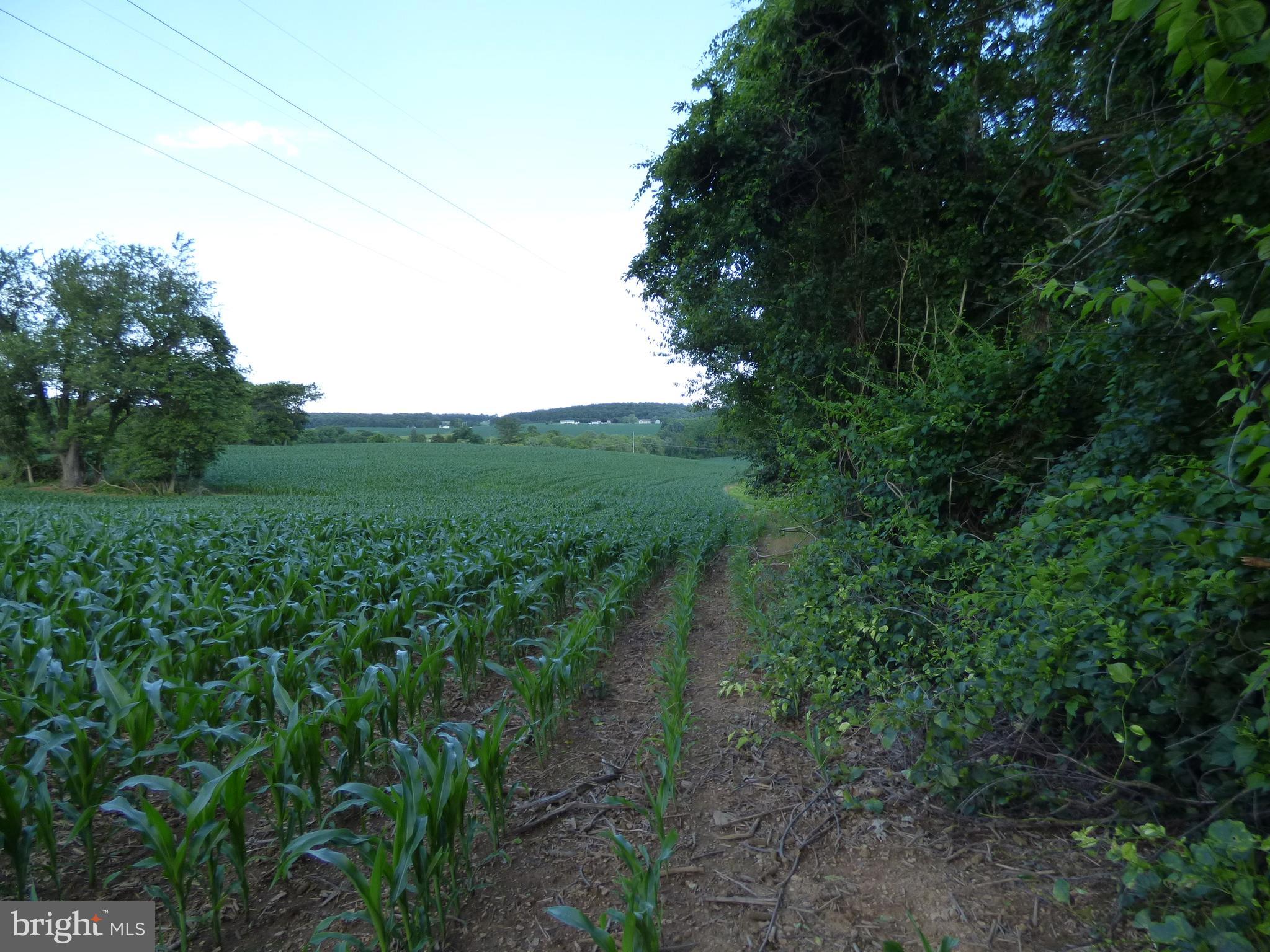 NONE AVAILABLE - Farm