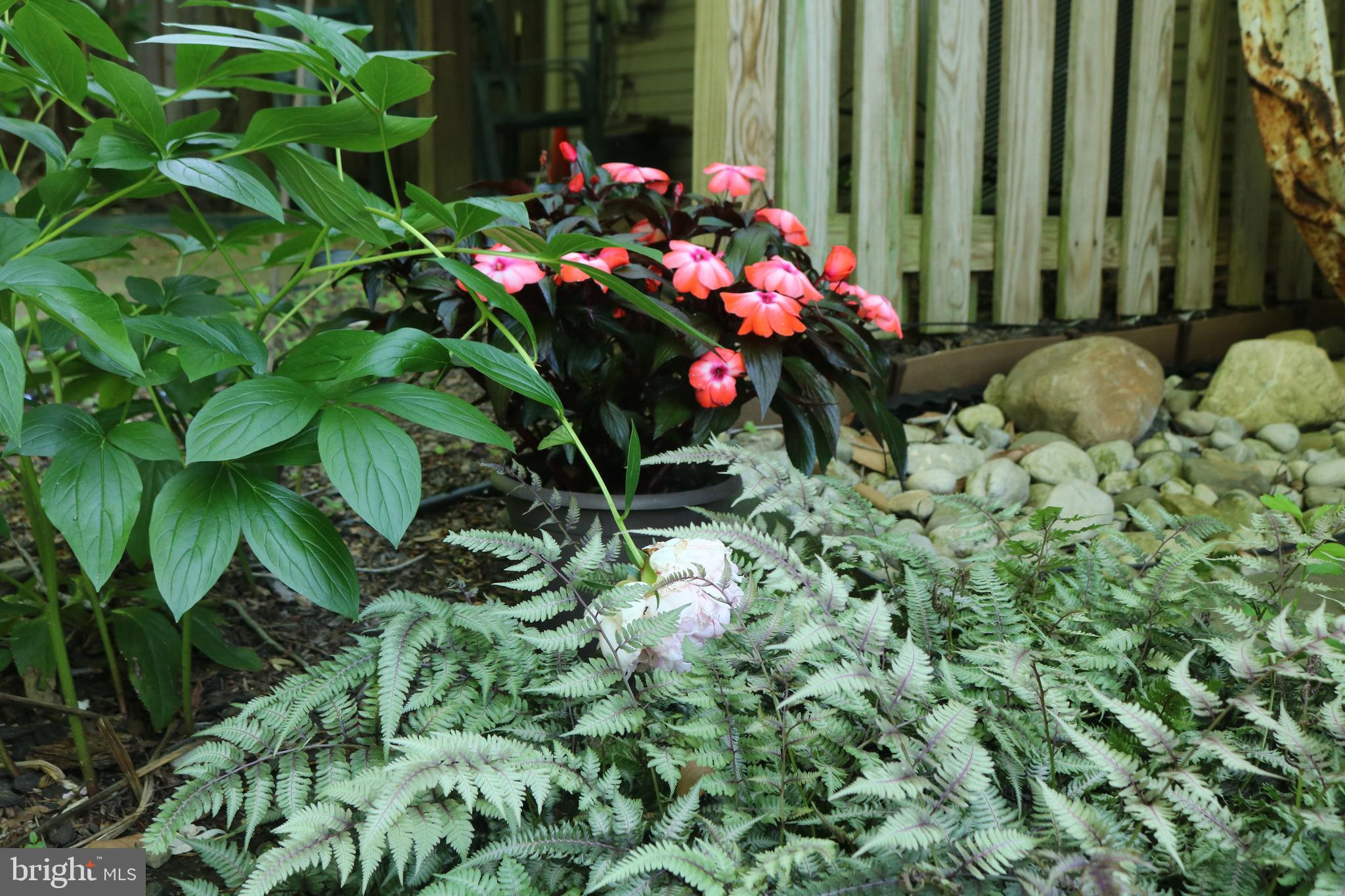 MONTCLAIR/SOUTHL - Residential