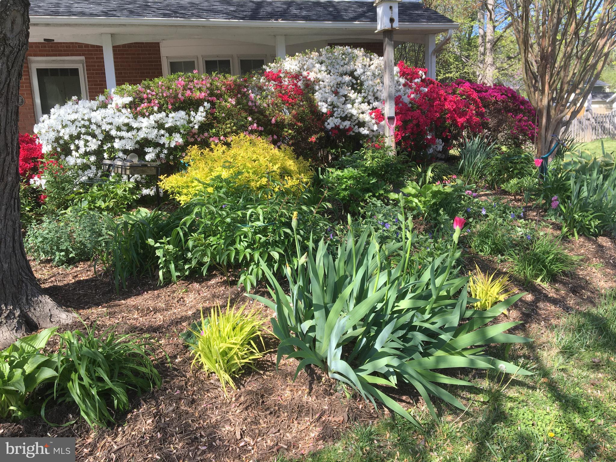 2412 CAVENDISH DRIVE