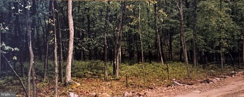 Lot 135 & 136 CORN SILK AVE. HAZLE TOWNSHIP PA 18201