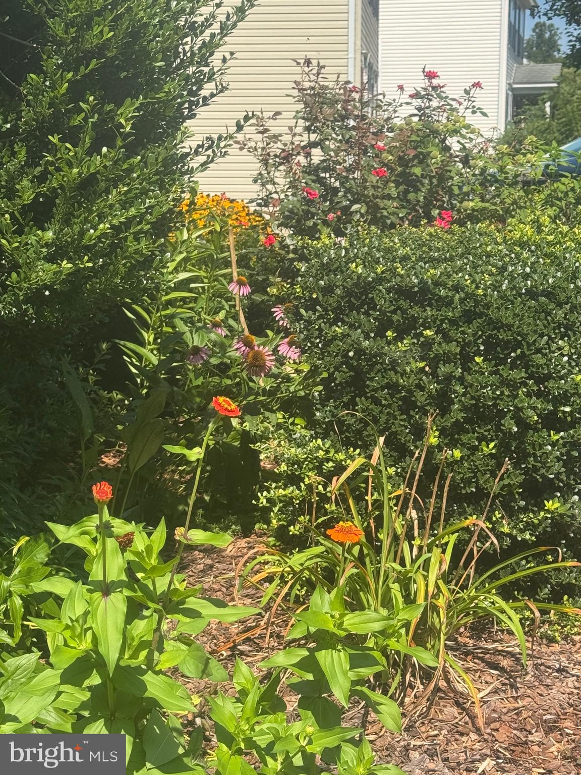 6930 VERSAILLE DRIVE