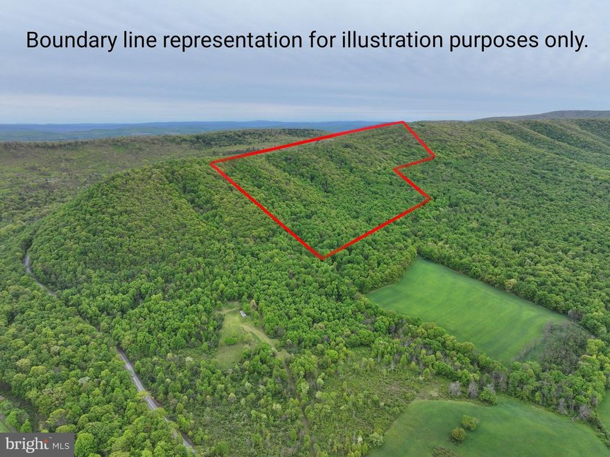55 Acres bordering the PA Buchanan State Forest, offering an ideal setting for outdoor enthusiasts, hunters, and nature lovers alike. This property provides endless recreational opportunities including hunting, ATV and horseback riding, hiking, biking, and exploring the outdoors. Conveniently located just minutes from Pennsylvania State Game Lands and Martin Hill Wild Area.