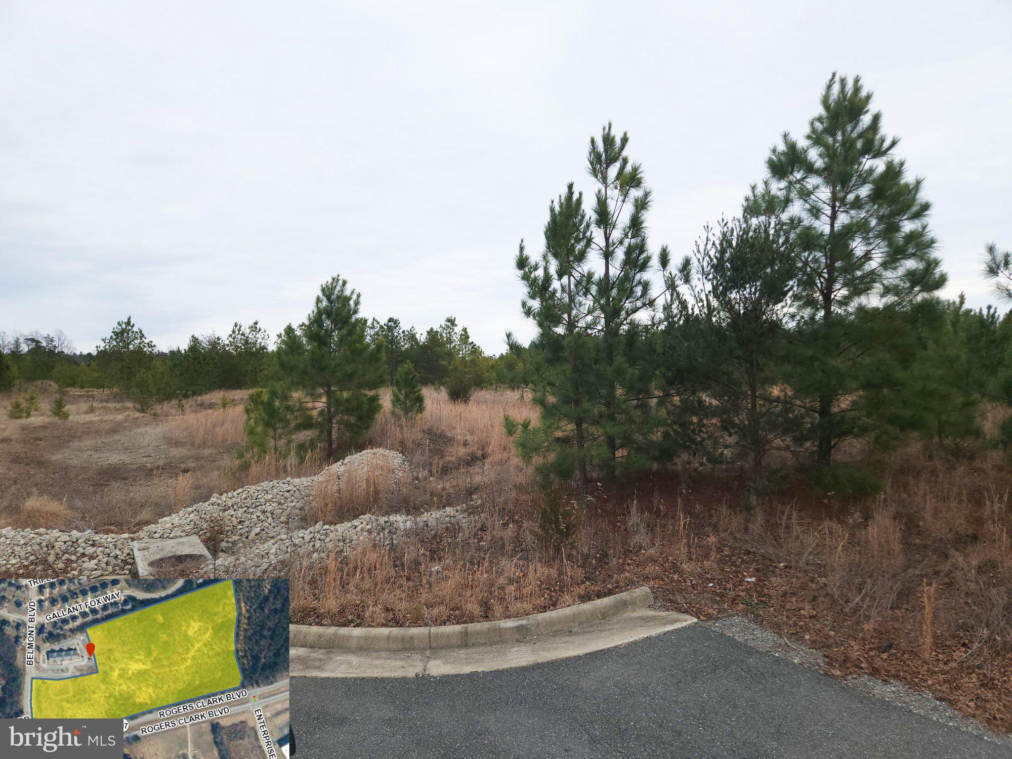 BELMONT AT CARMEL CHURCH - Land