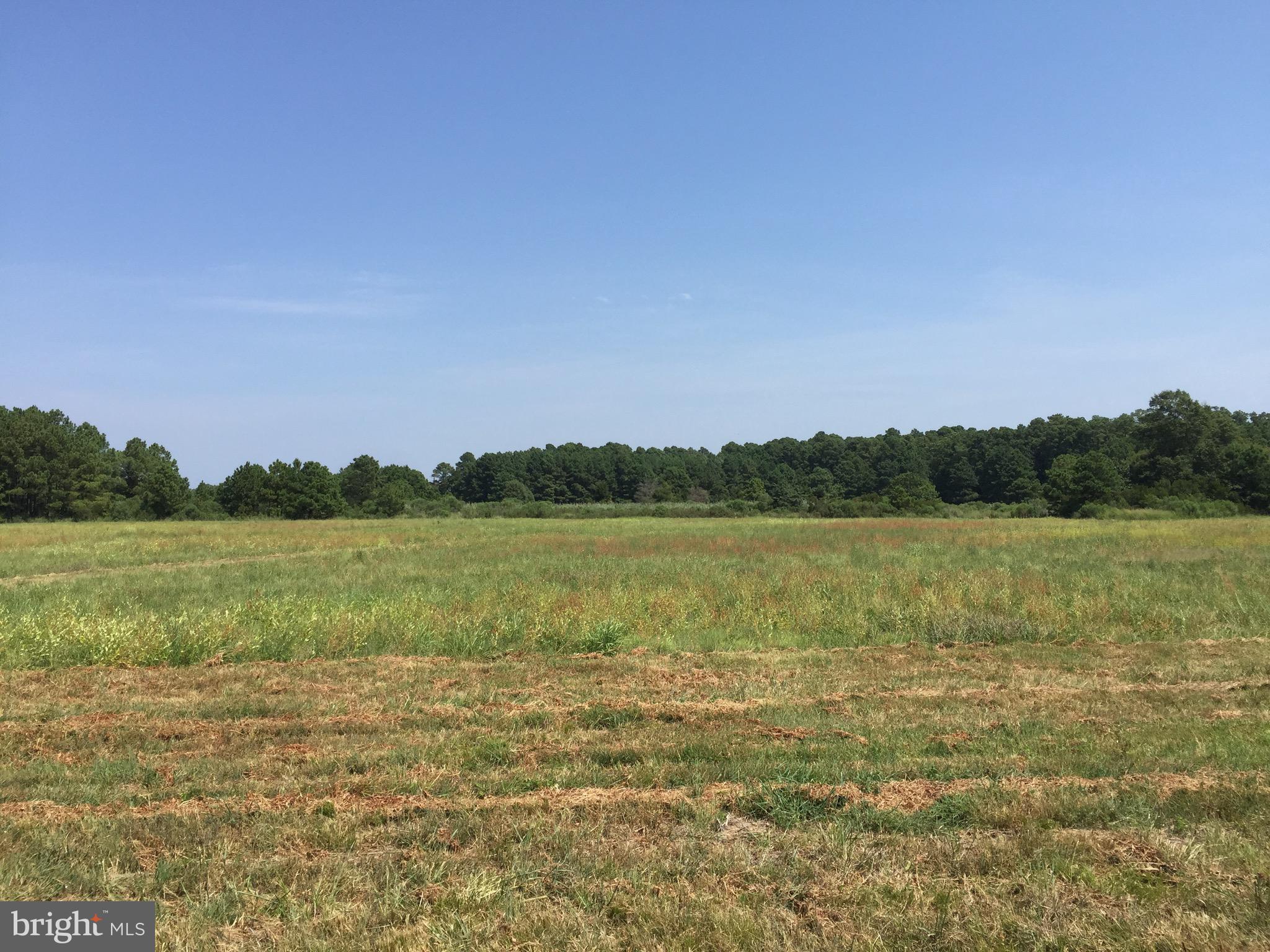 810 KIM DRIVE LOT 18