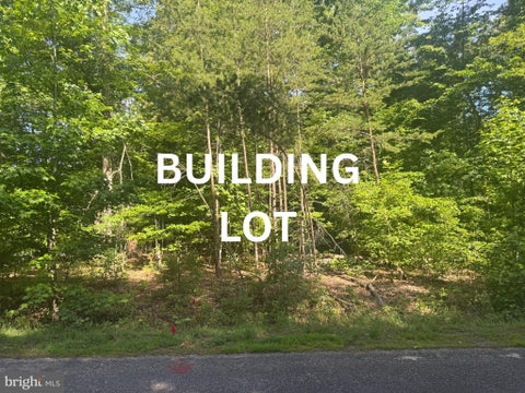 Vacant Land For Sale - 6200 Bills Road<br/> MINERAL, VA 23117