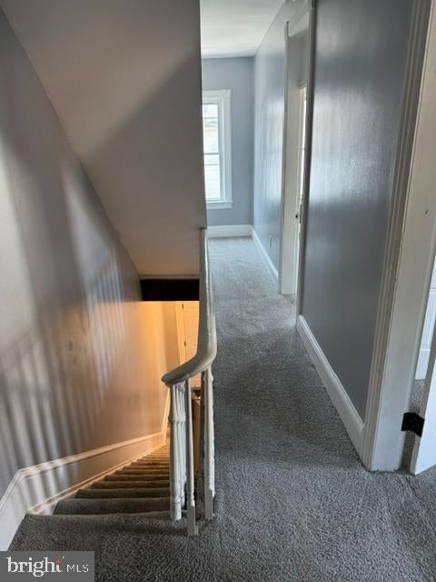 110 ELM STREET