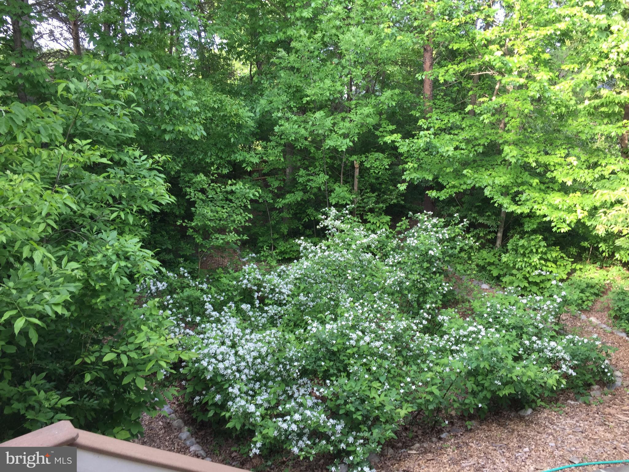 VIRGINIA RUN - Residential