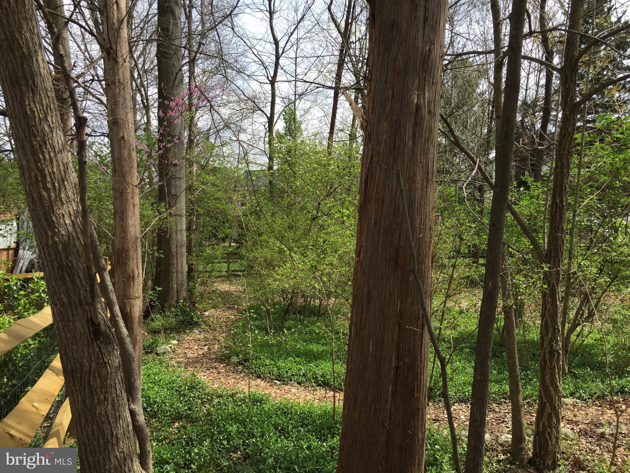 VIRGINIA RUN - Residential