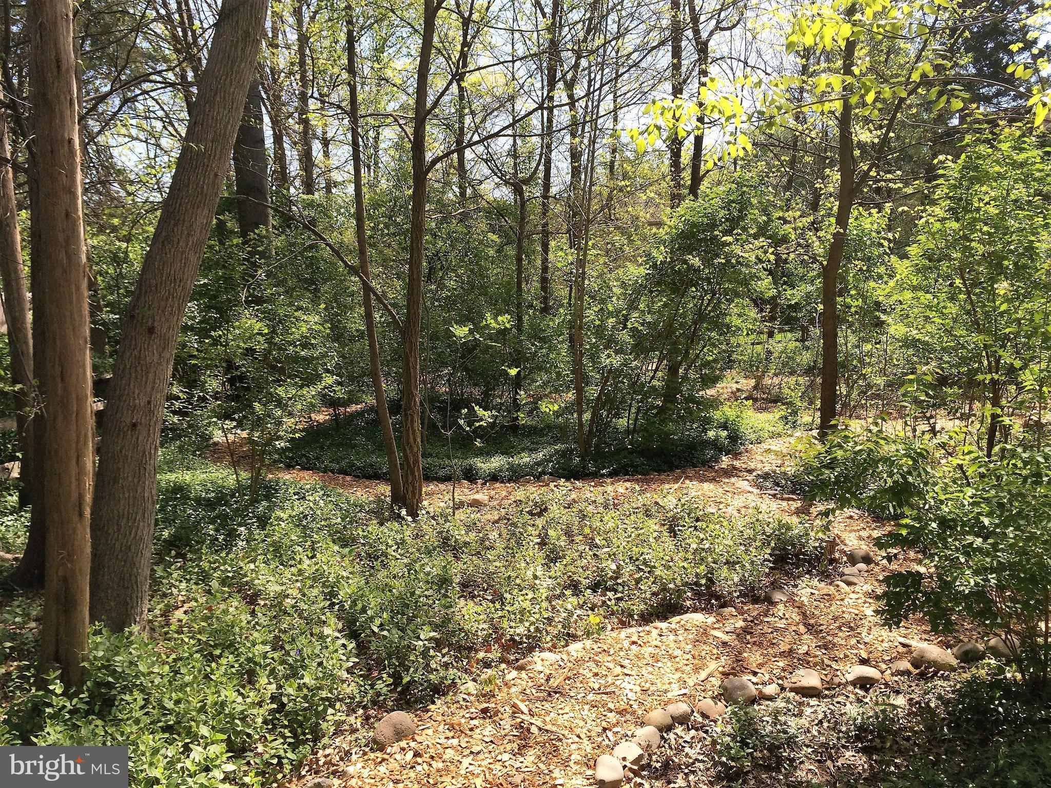 VIRGINIA RUN - Residential