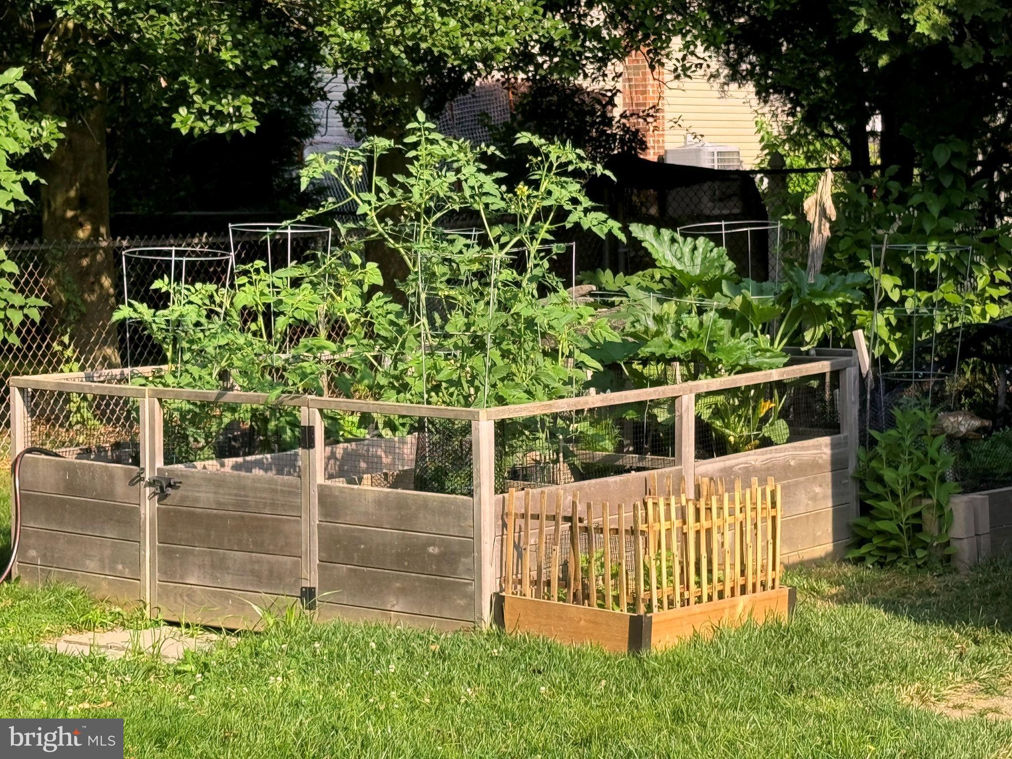 OAKMONT - Residential