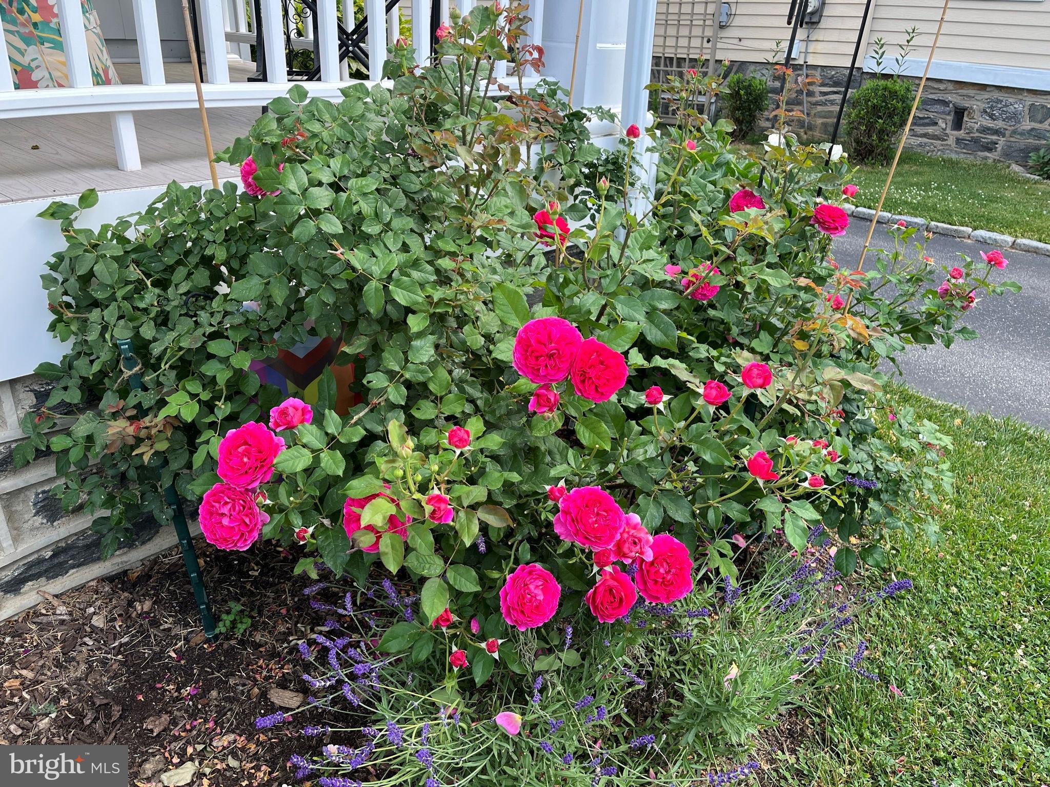 OAKMONT - Residential