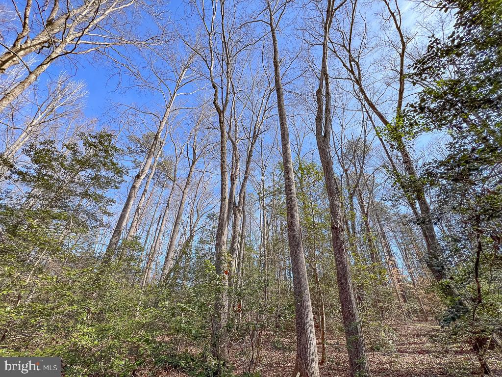 NONE AVAILABLE - Land