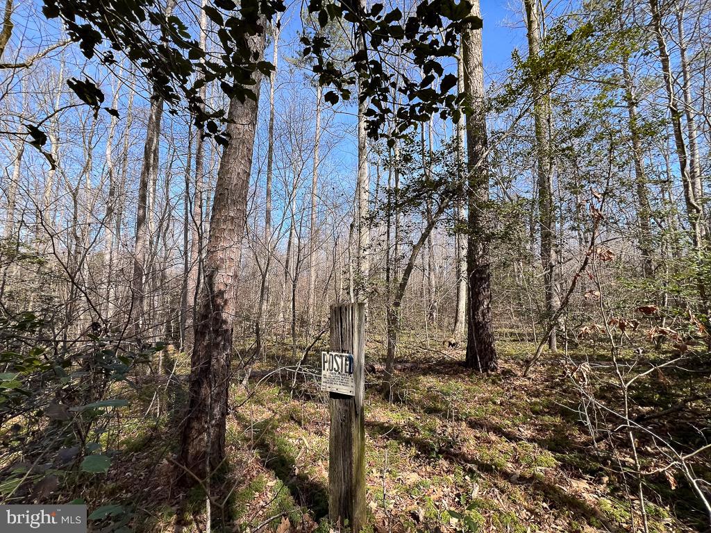 NONE AVAILABLE - Land