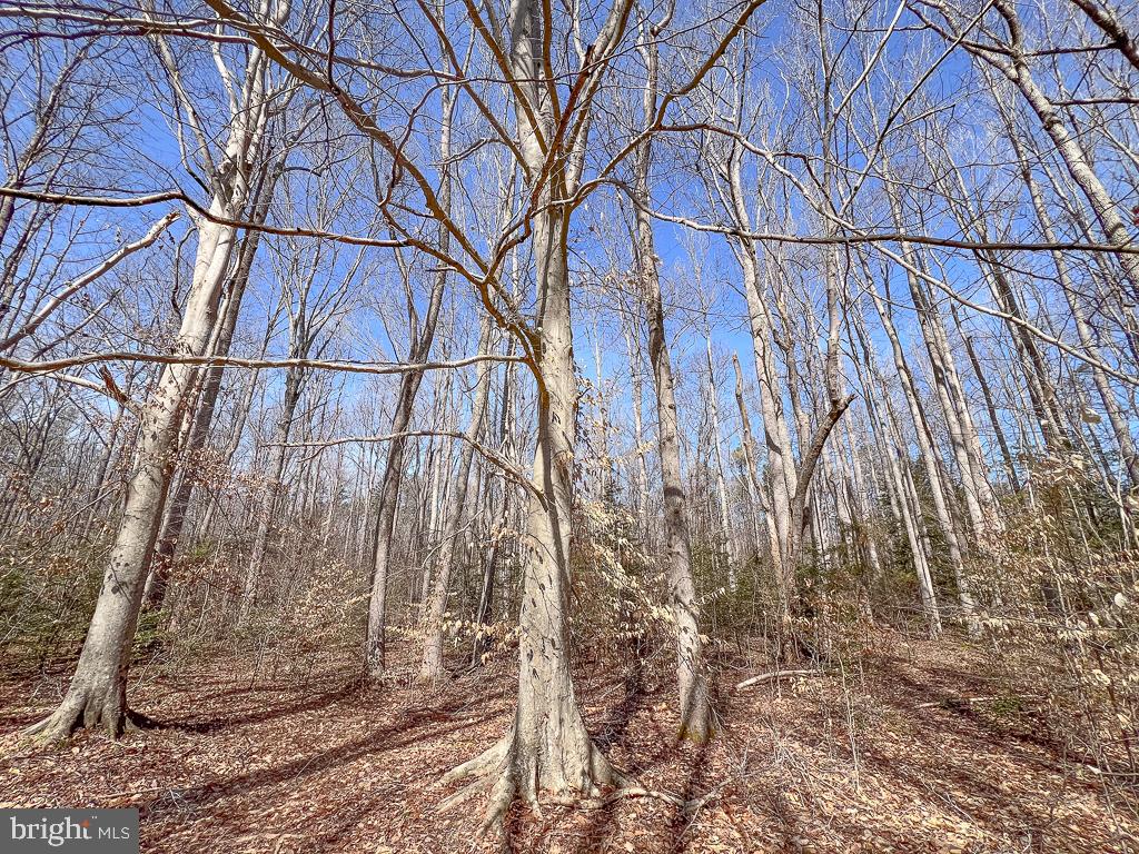 NONE AVAILABLE - Land