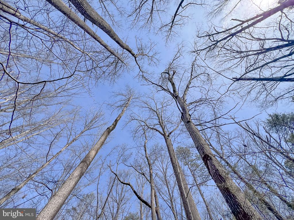 NONE AVAILABLE - Land