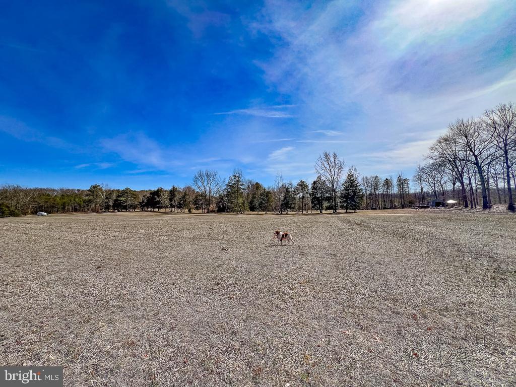 NONE AVAILABLE - Land