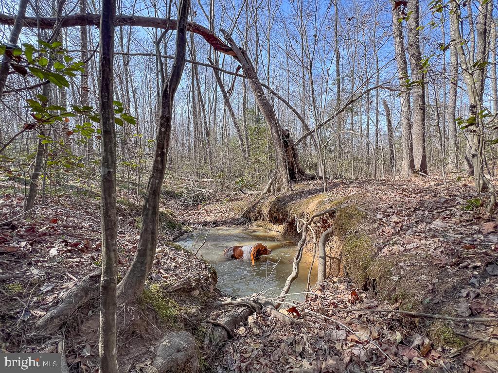 NONE AVAILABLE - Land