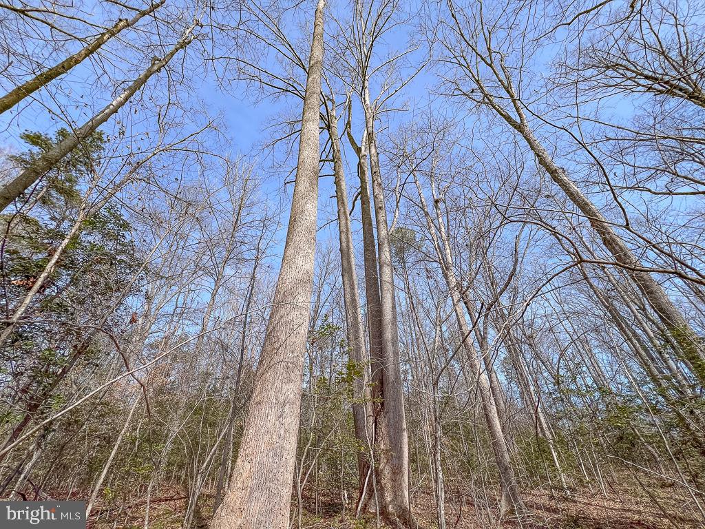 NONE AVAILABLE - Land