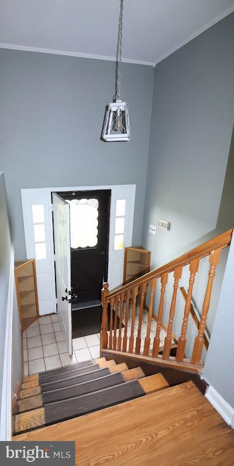 DUTCH NECK FARMS - Residential