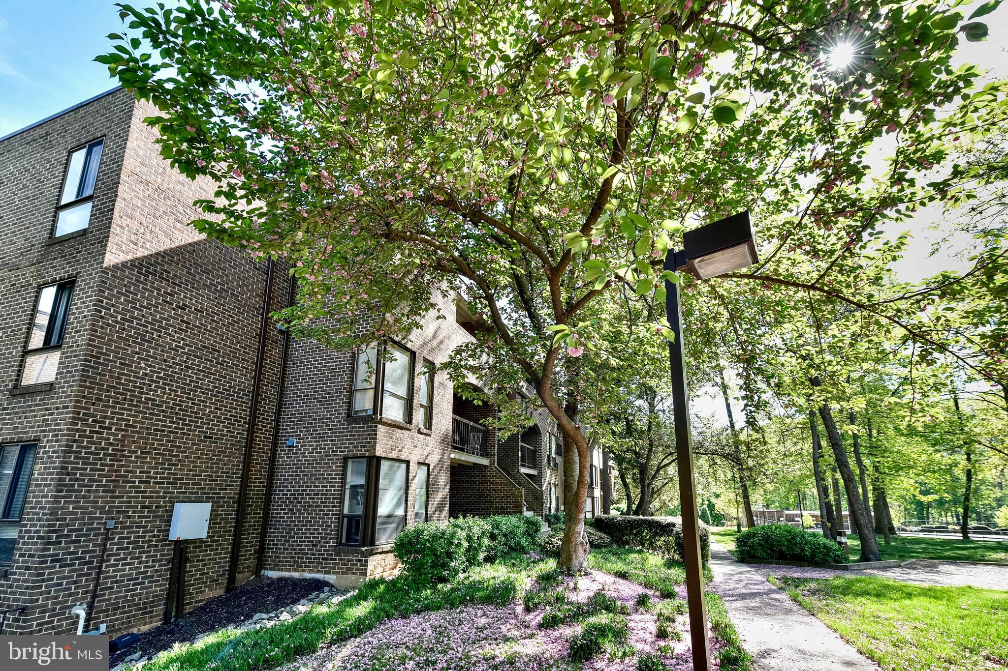 CHESTNUT GROVE - Residential