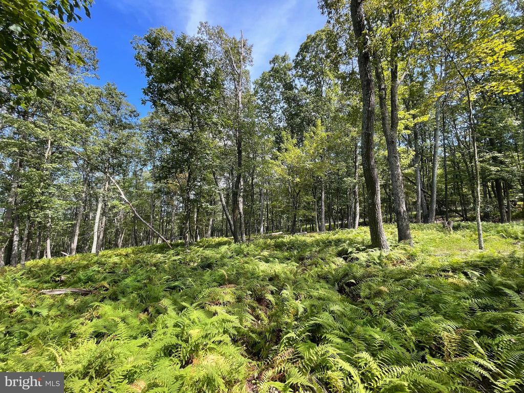 Photo of 49 Alpine Drive, ZION GROVE, PA 17985 (MLS # PASK2023122)